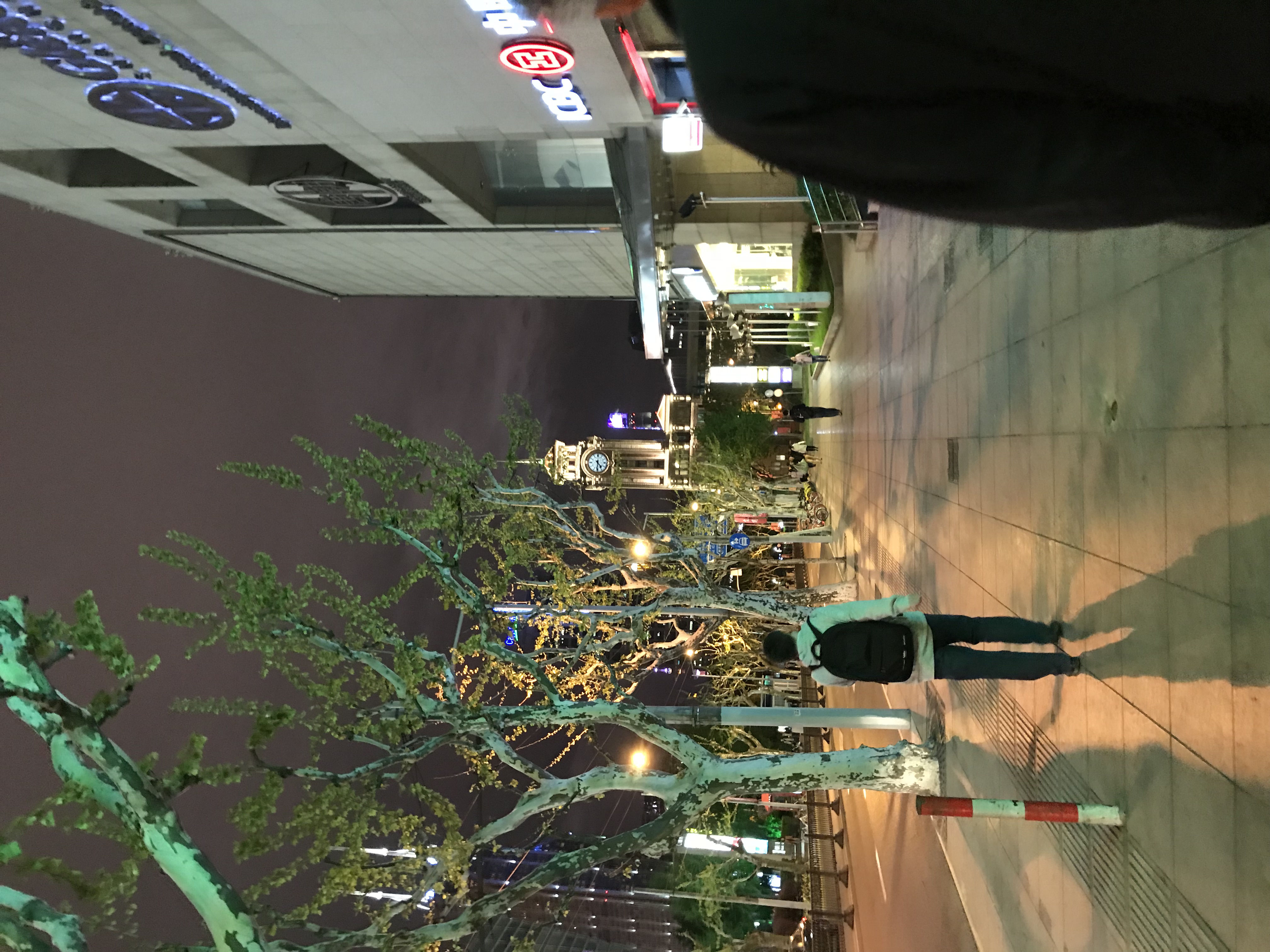 ./2018/03 - Viking China/22 - Shanghai Day 1/IMG_9965.JPG